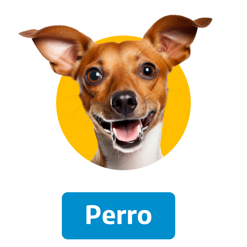 Alimento para perros