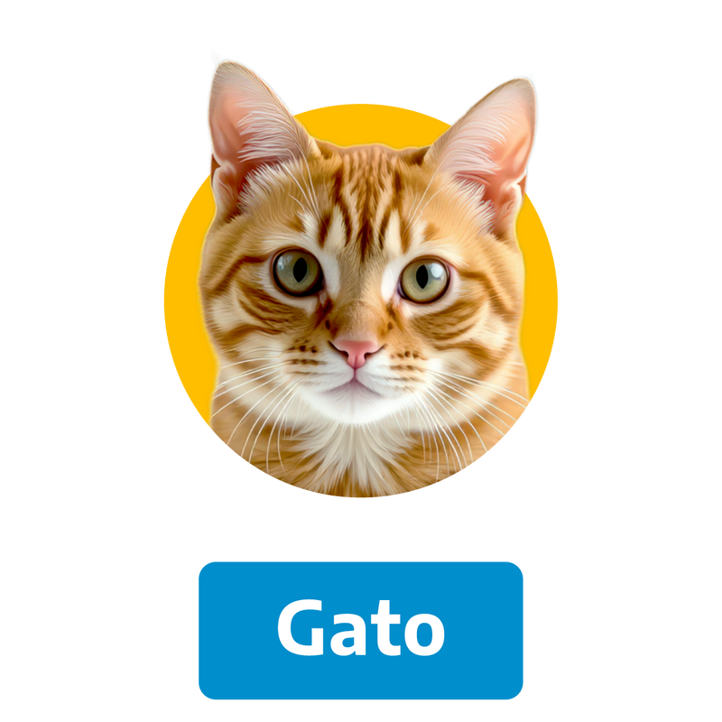 Alimento para gato