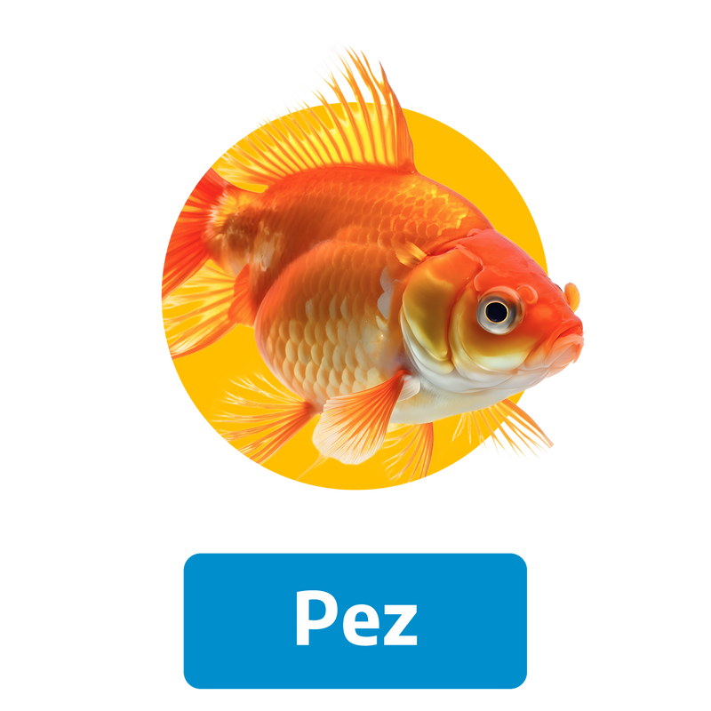 Alimento para pez