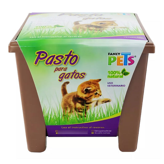 Pasto de Trigo para Gatos Fancy Pets - Mejora la Digestión